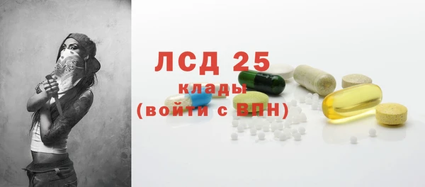 молекула духа Бородино