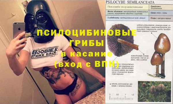 эйфоретик Богородск