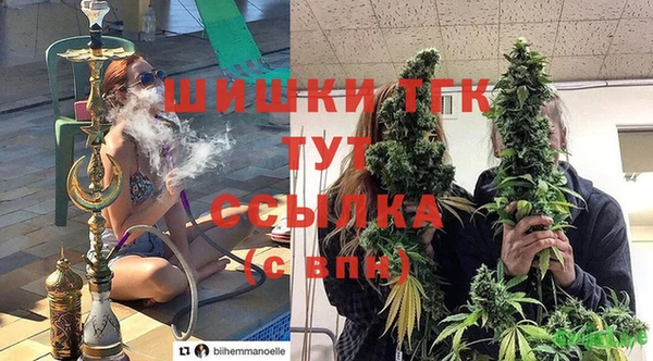 спайс Богородицк