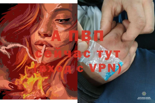 молекула духа Бородино